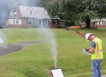 Nova Extermination - Exterminateur Rive-Sud photo 5